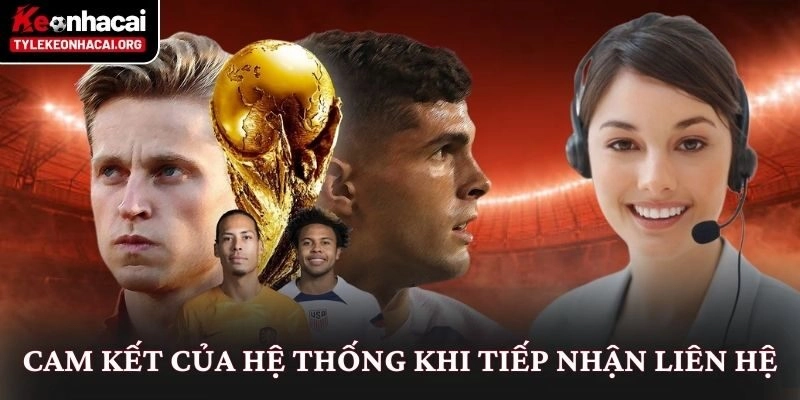 Cam kết của hệ thống khi tiếp nhận liên hệ