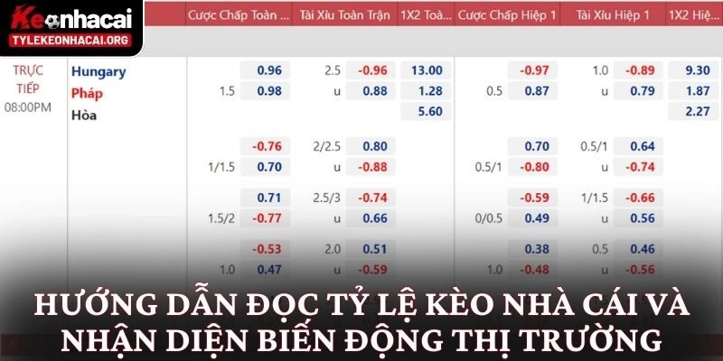 Hướng dẫn đọc tỷ lệ kèo nhà cái và nhận diện biến động thị trường